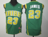 LeBron James, St. Vincent St. Mary Irish [Green]