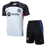 Kit Entrenamiento FC Barcelona 2023/24 (Gris Mangas)