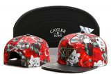 Gorra Cayler & Sons [Ref. 15]