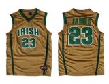 LeBron James, St. Vincent St. Mary Irish [Brown]