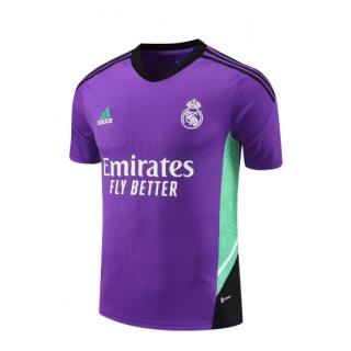 Camiseta Entrenamiento Real Madrid 2023/24 (Morada)